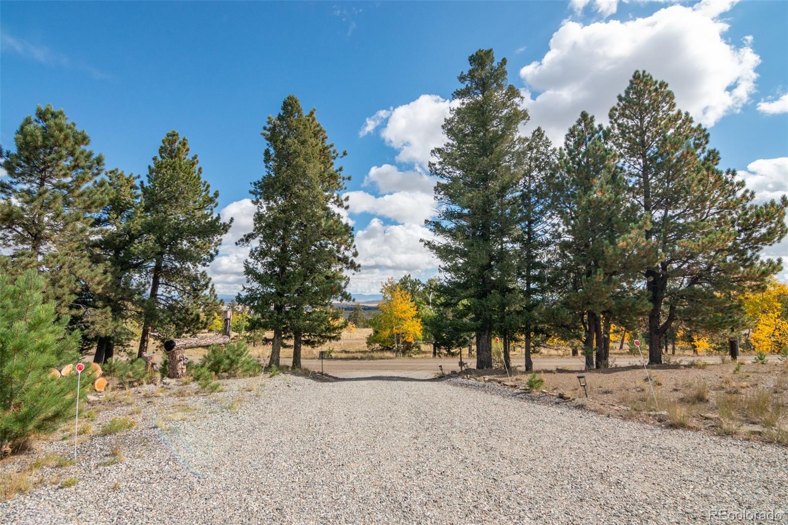 MLS Image #8 for 3480  singletree road,hartsel, Colorado