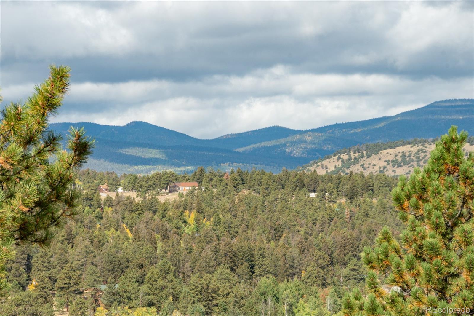 MLS Image #9 for 3480  singletree road,hartsel, Colorado