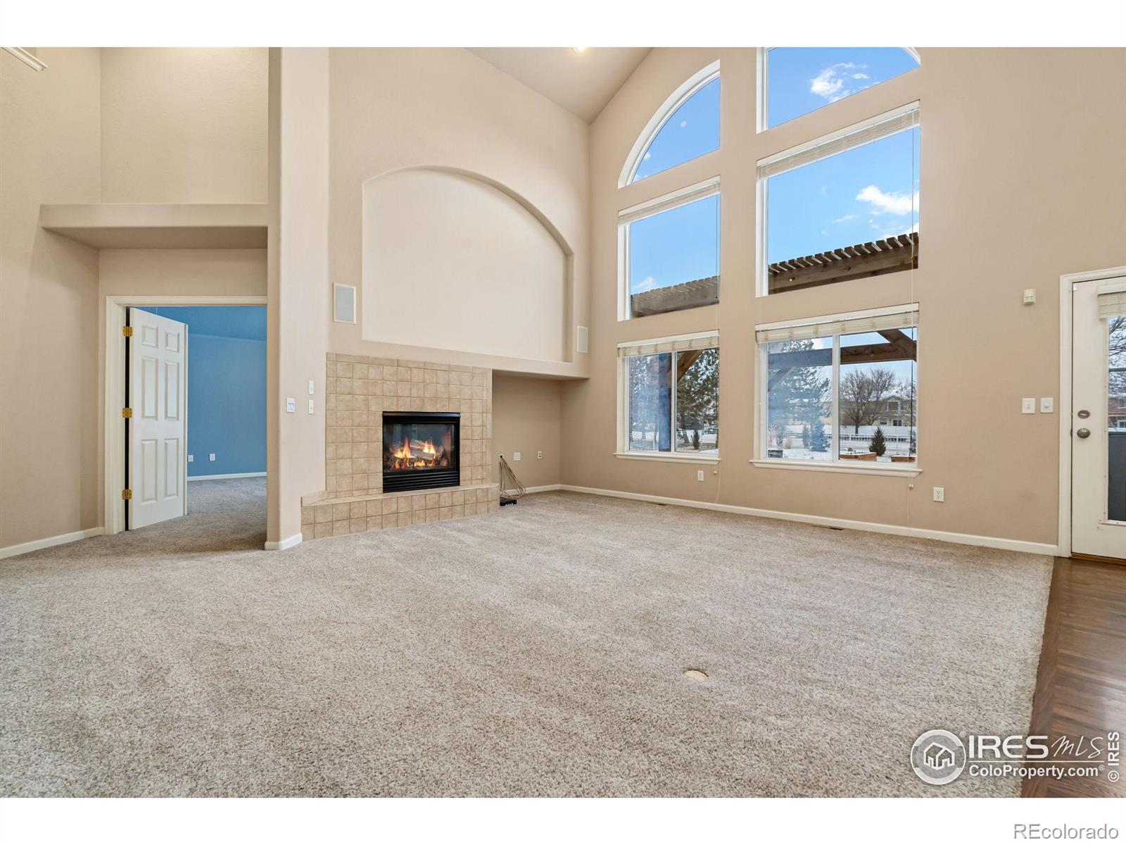 MLS Image #10 for 4012  milano lane,longmont, Colorado