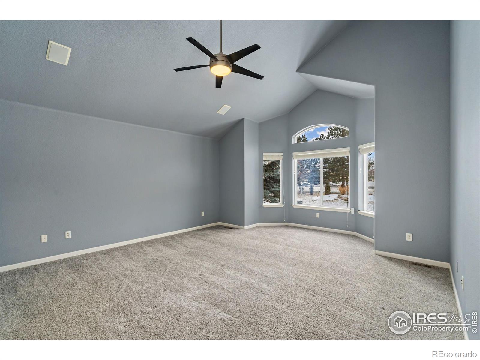 MLS Image #18 for 4012  milano lane,longmont, Colorado