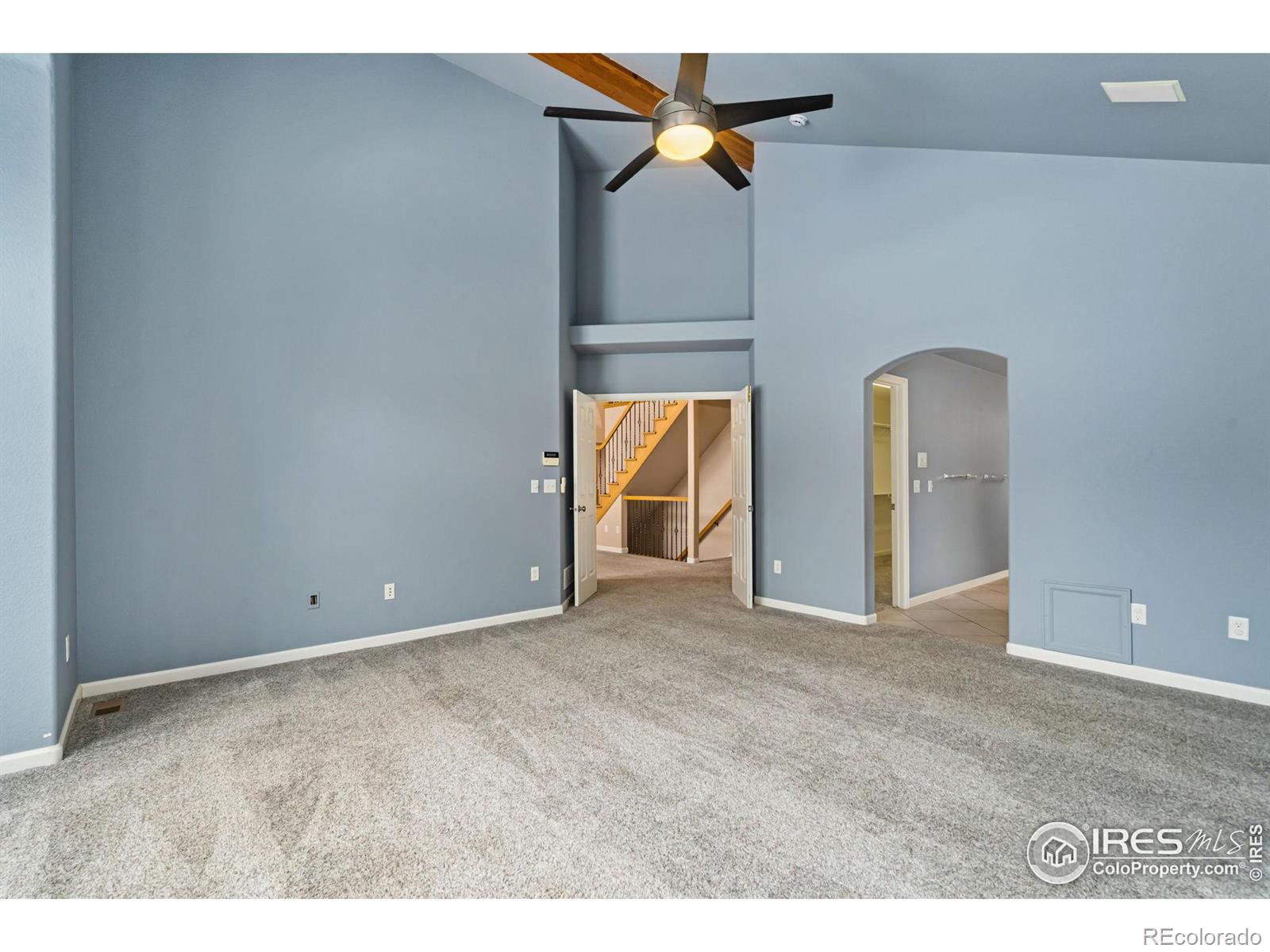 MLS Image #19 for 4012  milano lane,longmont, Colorado