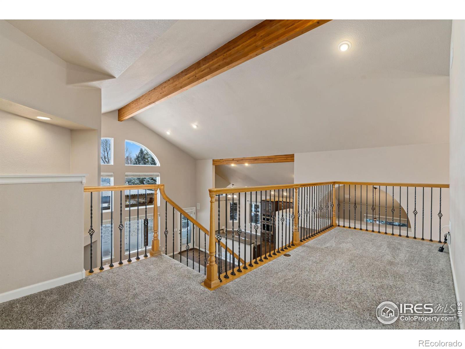 MLS Image #22 for 4012  milano lane,longmont, Colorado