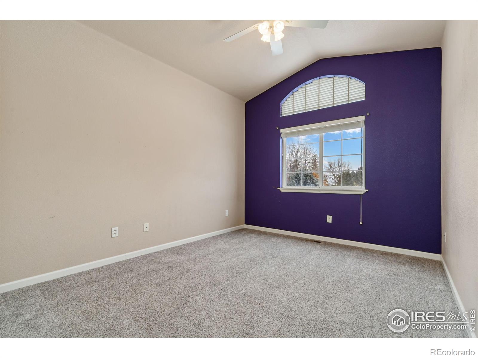 MLS Image #26 for 4012  milano lane,longmont, Colorado