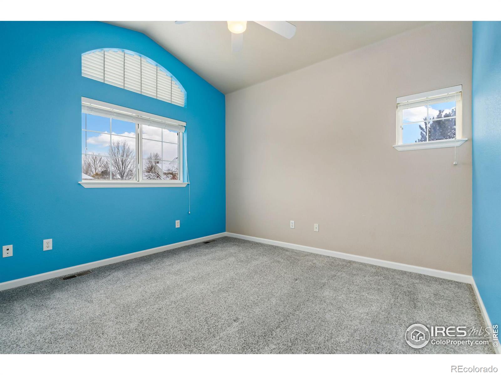 MLS Image #27 for 4012  milano lane,longmont, Colorado