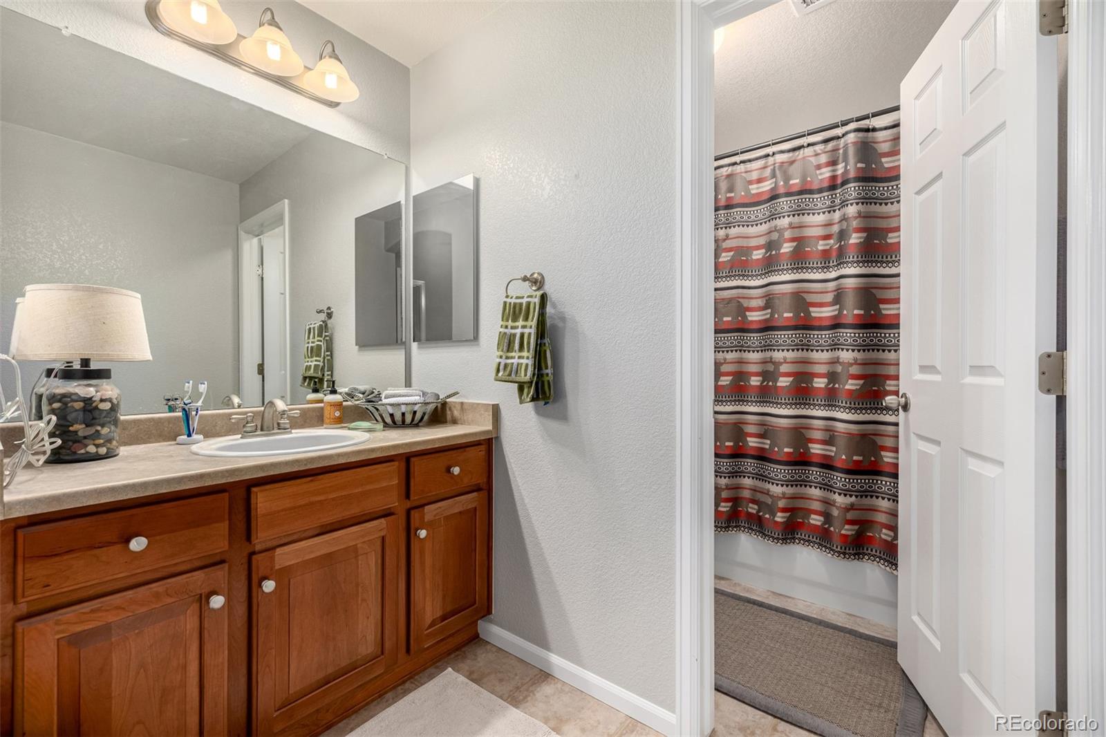 MLS Image #22 for 9461  elmhurst lane,highlands ranch, Colorado