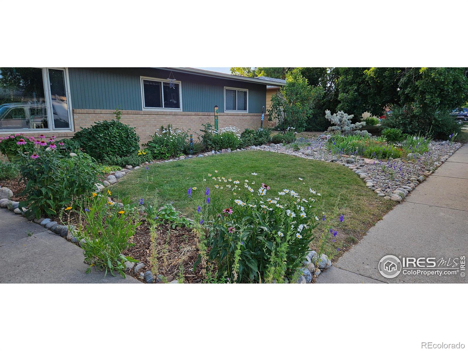 MLS Image #33 for 1315  aspen street,longmont, Colorado