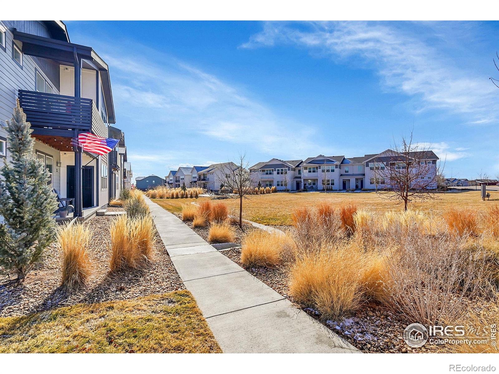 MLS Image #19 for 2086  autumn moon drive,windsor, Colorado