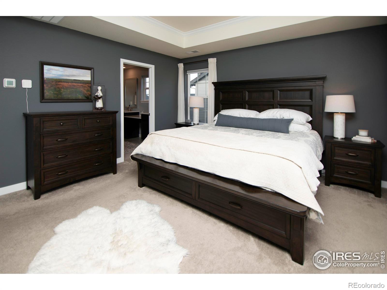 MLS Image #21 for 7086  thunderview drive,timnath, Colorado