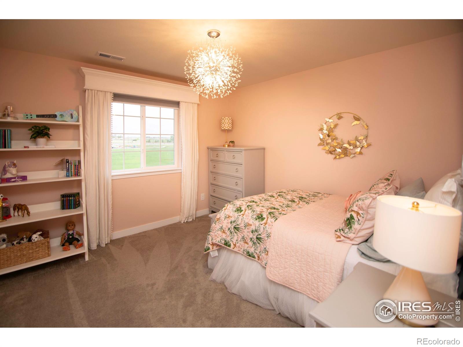 MLS Image #27 for 7086  thunderview drive,timnath, Colorado