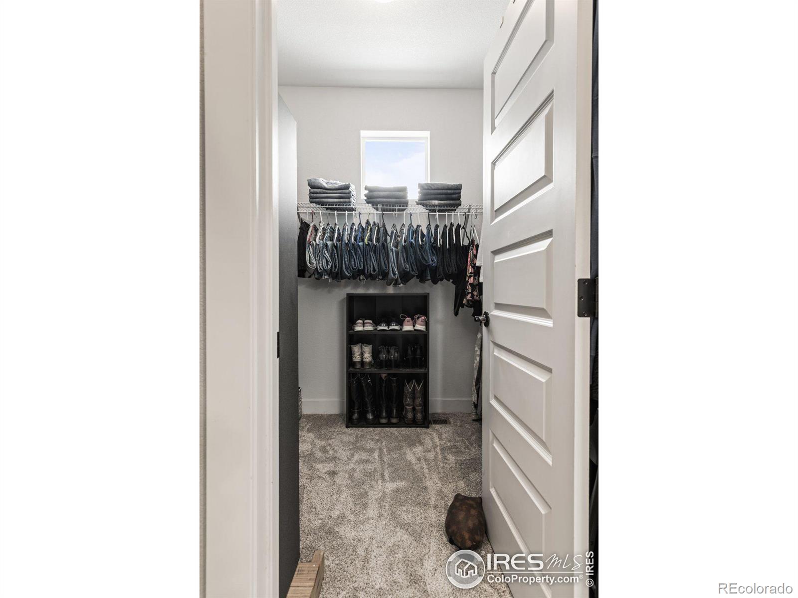 MLS Image #21 for 4445  ingalls drive,wellington, Colorado