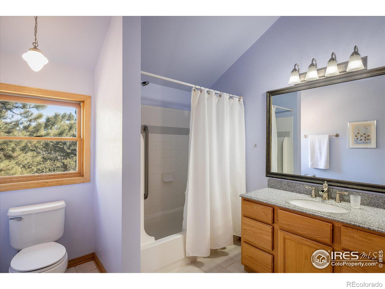 MLS Image #16 for 2163  roland drive,bailey, Colorado