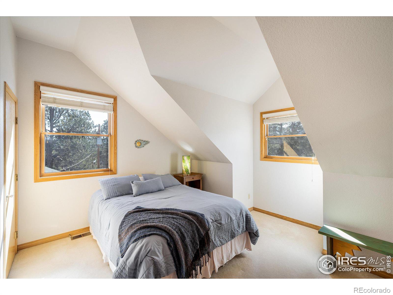 MLS Image #17 for 2163  roland drive,bailey, Colorado