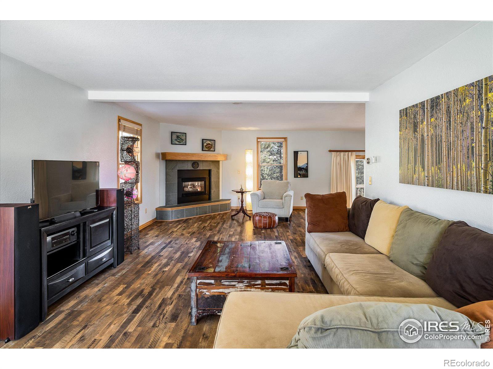 MLS Image #2 for 2163  roland drive,bailey, Colorado