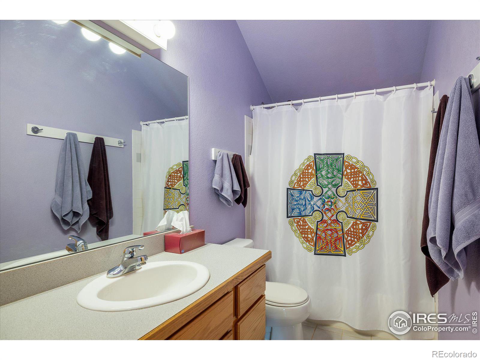 MLS Image #20 for 2163  roland drive,bailey, Colorado