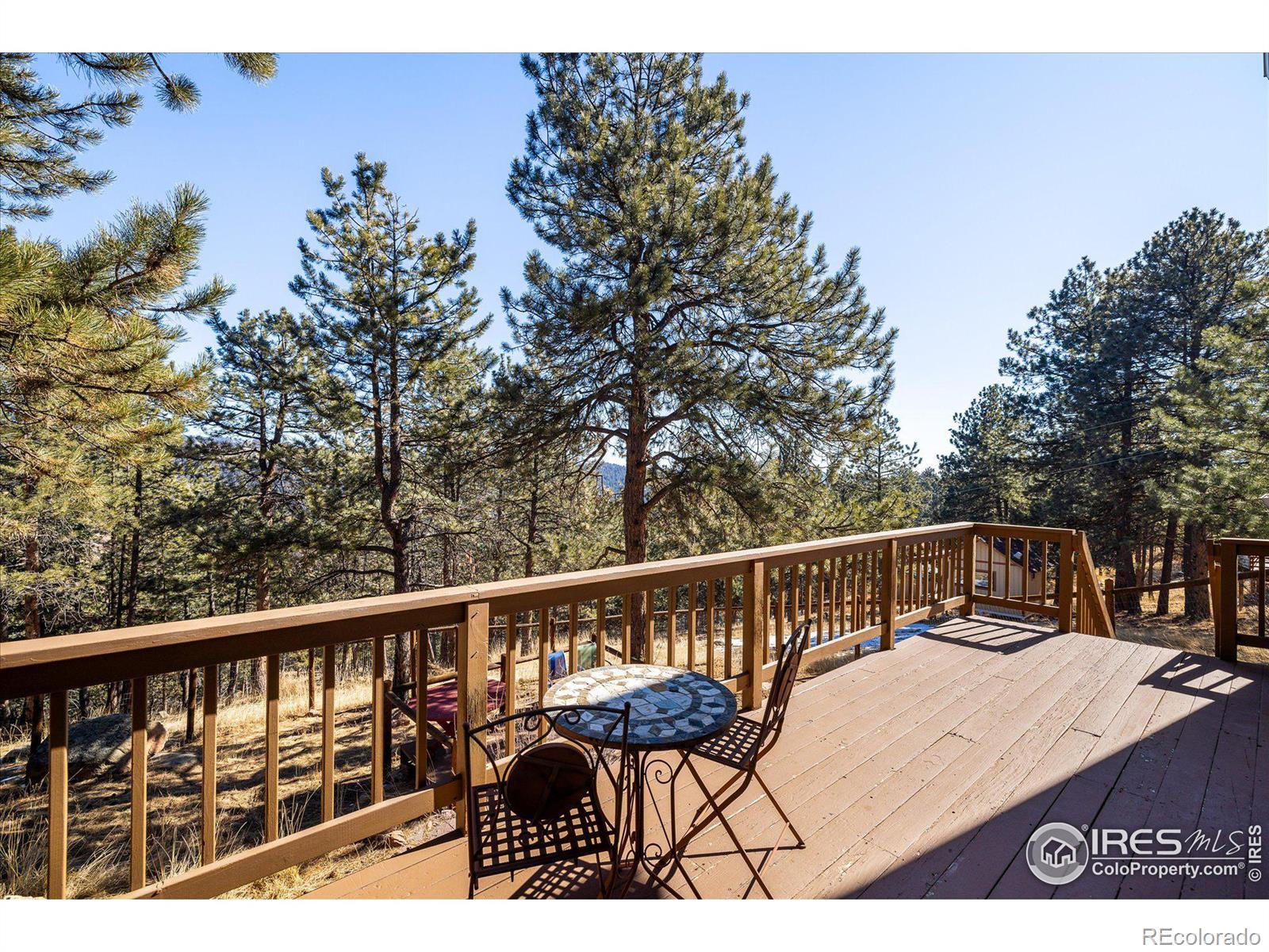 MLS Image #21 for 2163  roland drive,bailey, Colorado