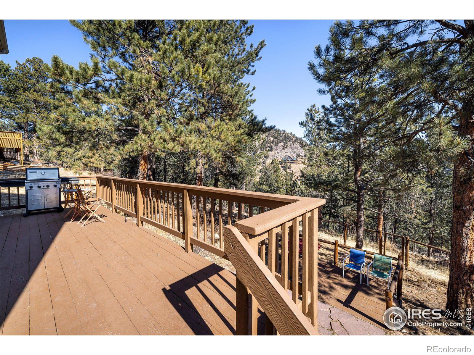 MLS Image #22 for 2163  roland drive,bailey, Colorado