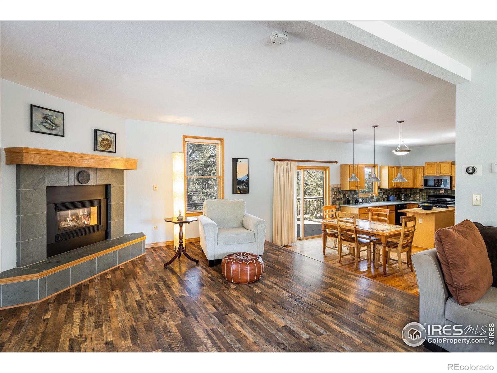 MLS Image #3 for 2163  roland drive,bailey, Colorado