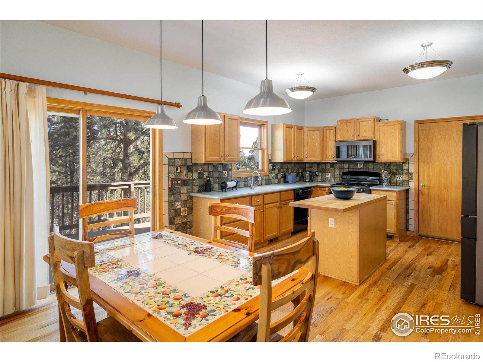 MLS Image #4 for 2163  roland drive,bailey, Colorado