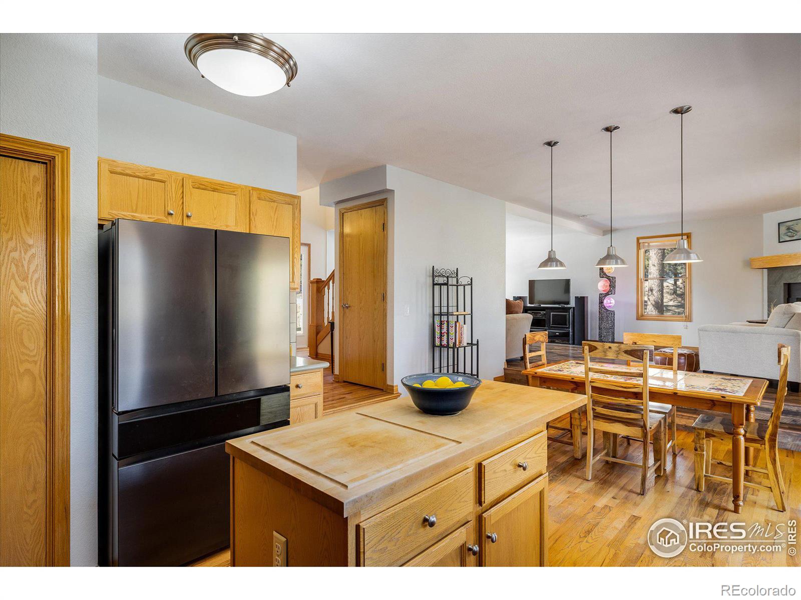 MLS Image #5 for 2163  roland drive,bailey, Colorado