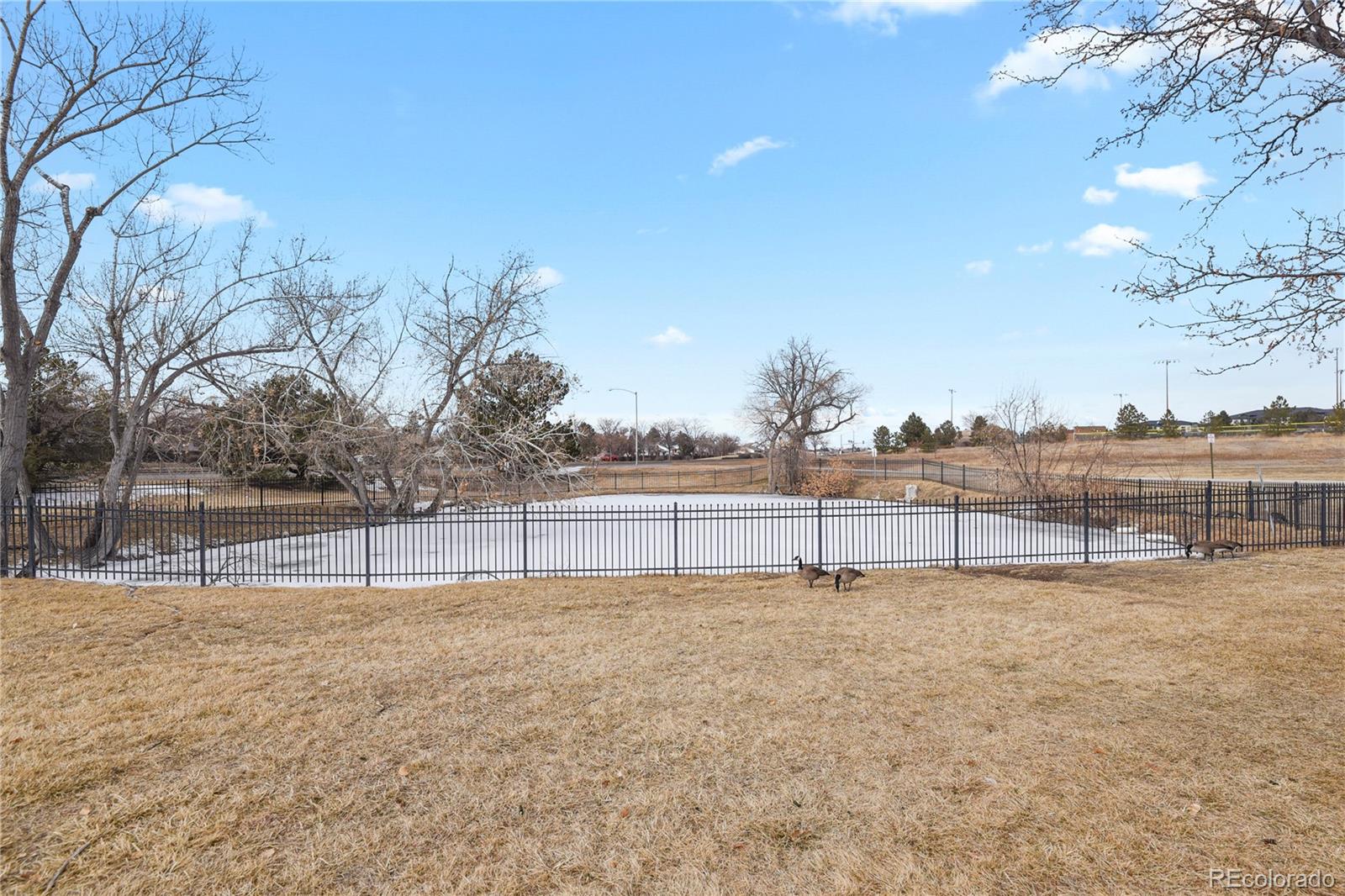 MLS Image #19 for 17034 e tennessee drive,aurora, Colorado