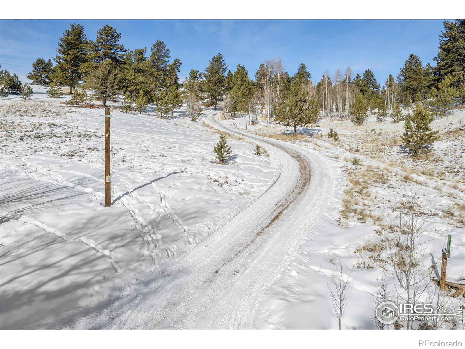 MLS Image #2 for 3367  badger creek road,hartsel, Colorado