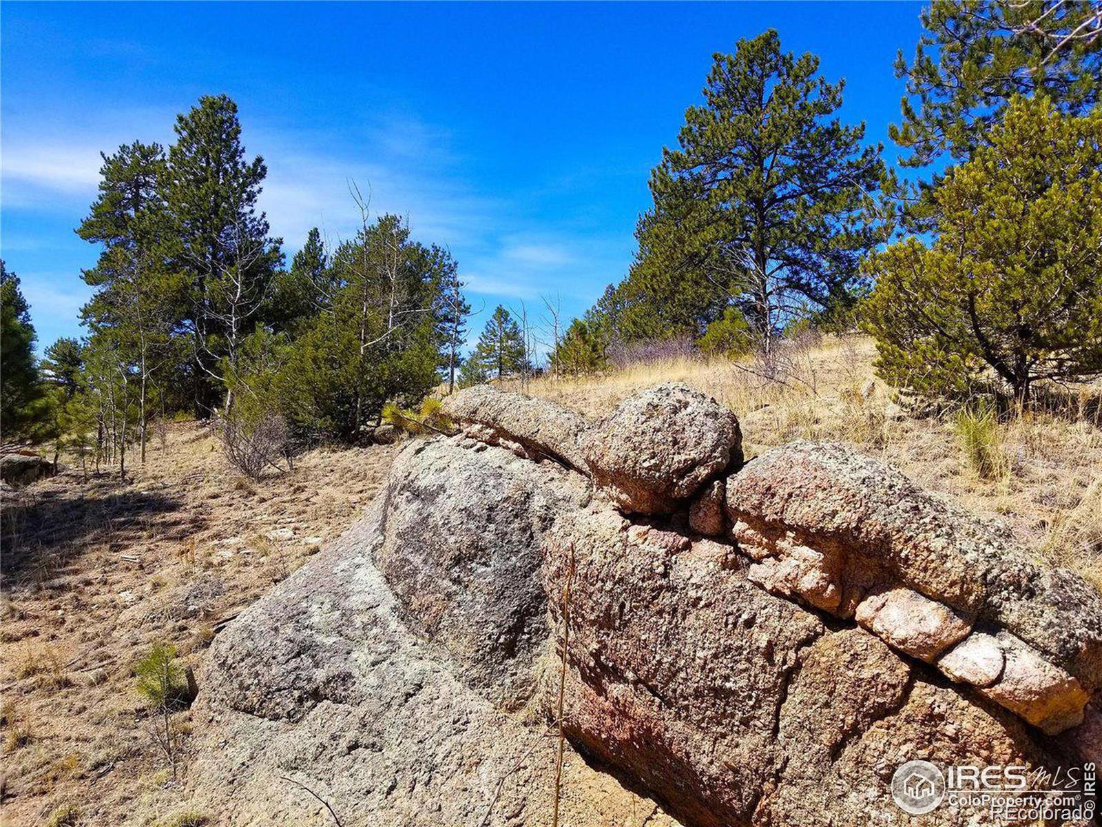 MLS Image #30 for 3367  badger creek road,hartsel, Colorado