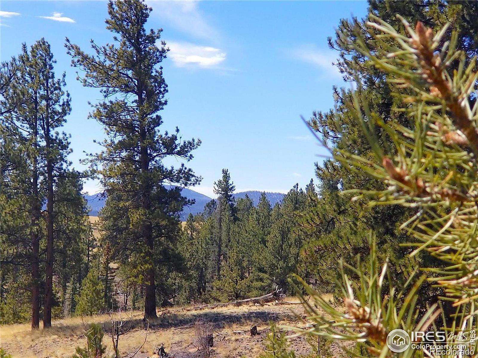 MLS Image #31 for 3367  badger creek road,hartsel, Colorado