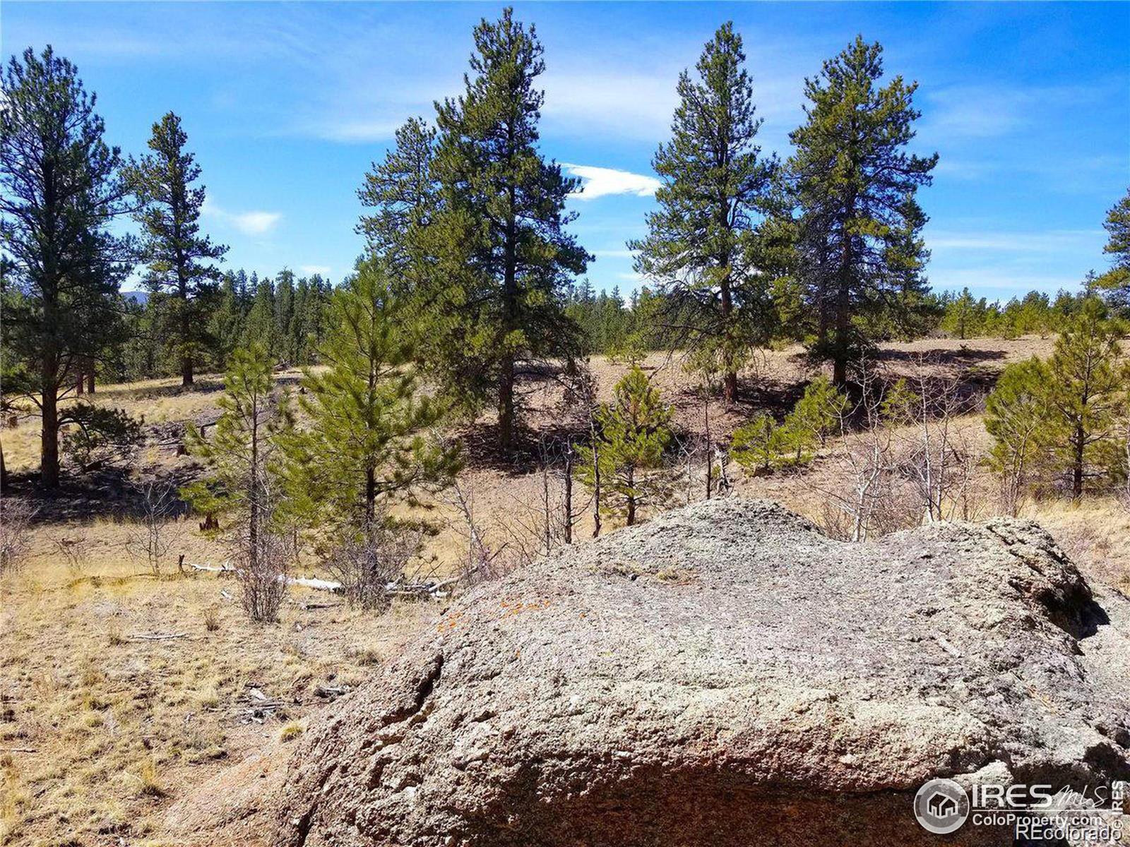 MLS Image #32 for 3367  badger creek road,hartsel, Colorado