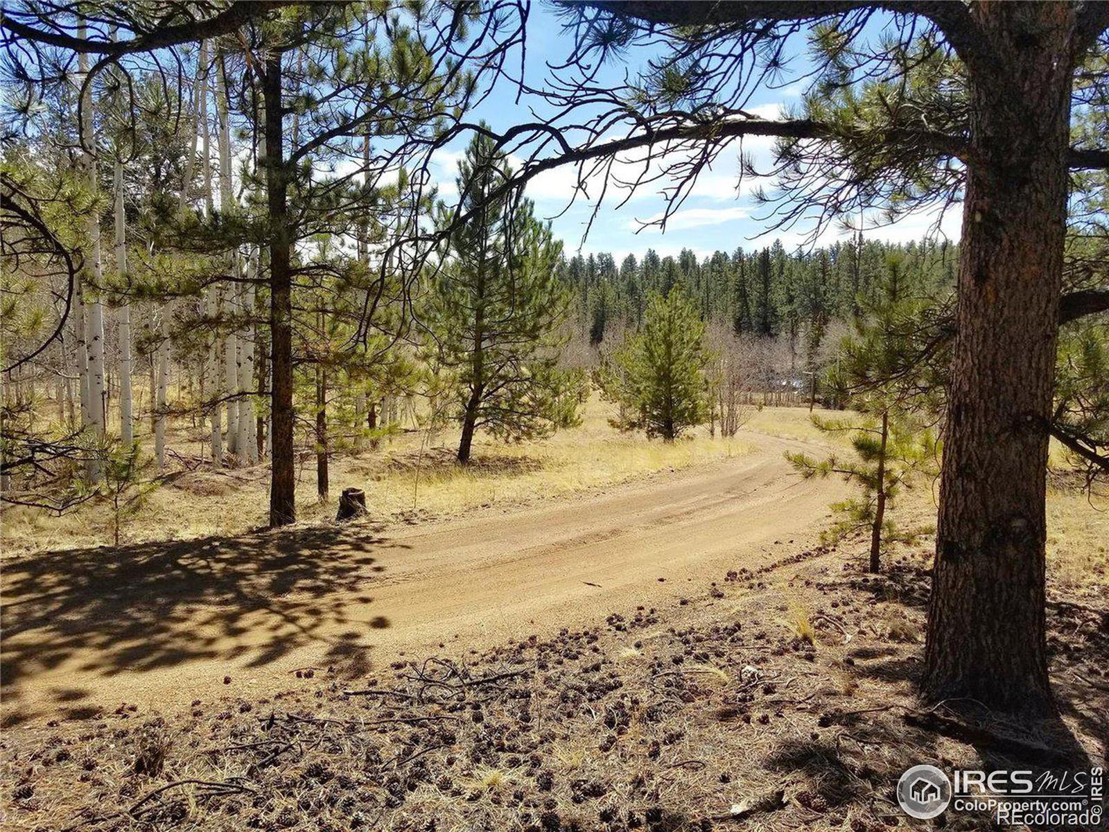 MLS Image #33 for 3367  badger creek road,hartsel, Colorado