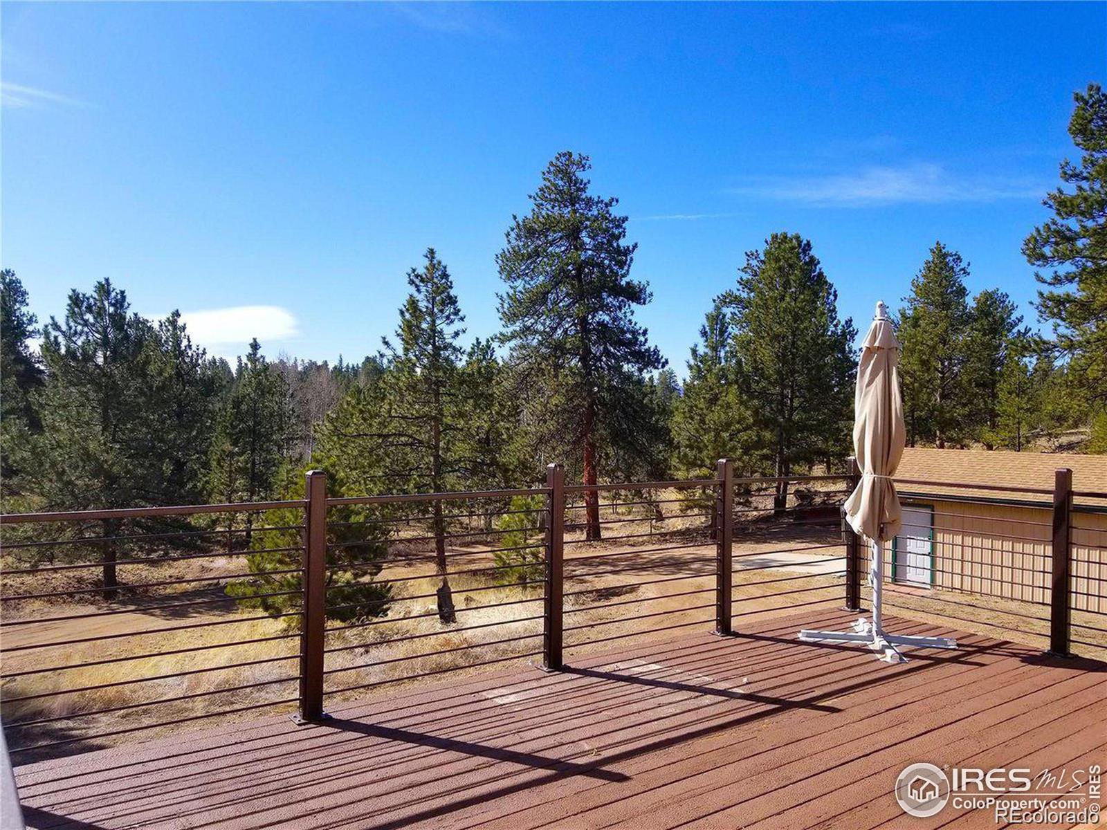 MLS Image #5 for 3367  badger creek road,hartsel, Colorado