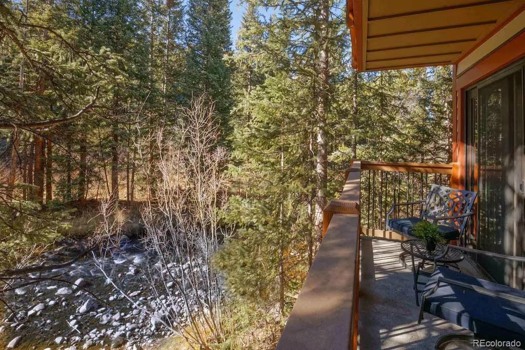 MLS Image #1 for 805  columbine road,breckenridge, Colorado