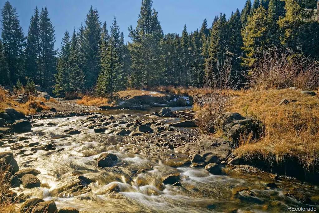 MLS Image #21 for 805  columbine road,breckenridge, Colorado