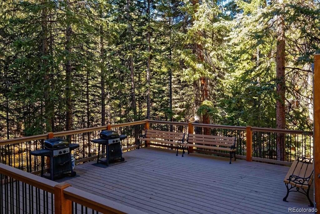 MLS Image #23 for 805  columbine road,breckenridge, Colorado