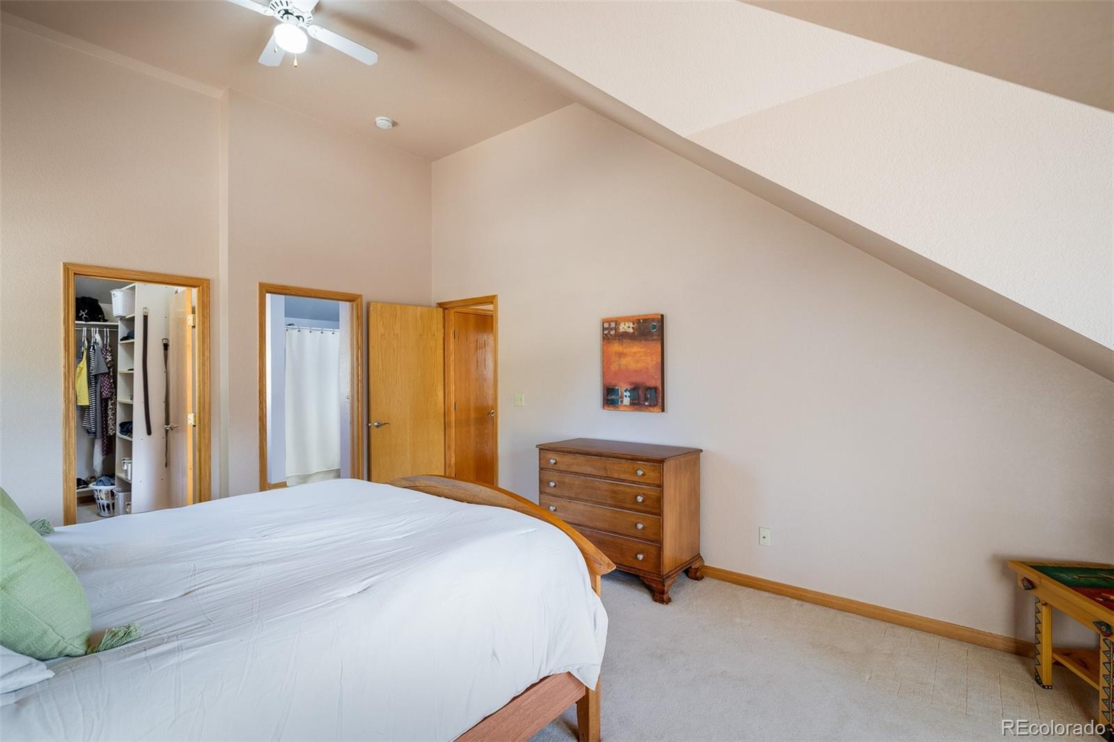 MLS Image #15 for 2163  roland drive,bailey, Colorado