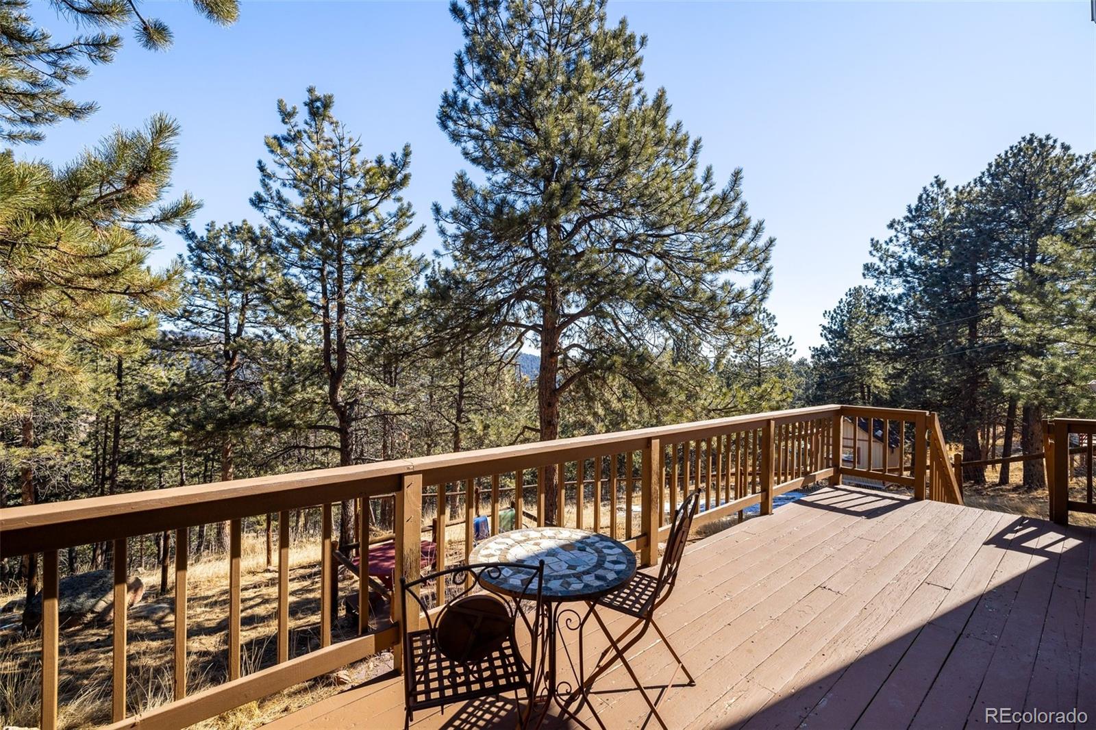 MLS Image #21 for 2163  roland drive,bailey, Colorado