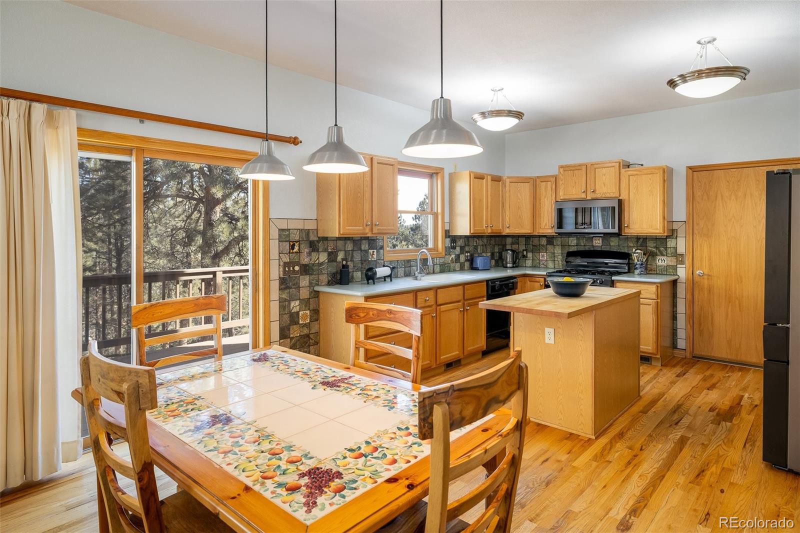 MLS Image #4 for 2163  roland drive,bailey, Colorado