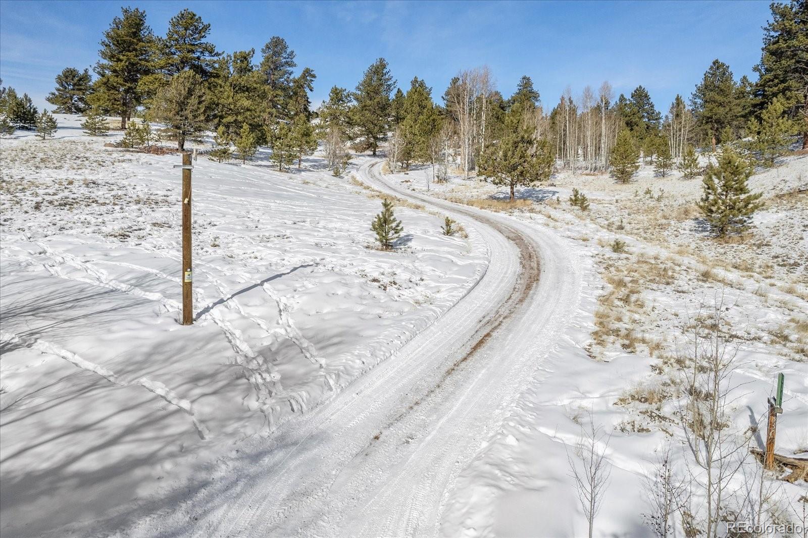 MLS Image #2 for 3367  badger creek road,hartsel, Colorado