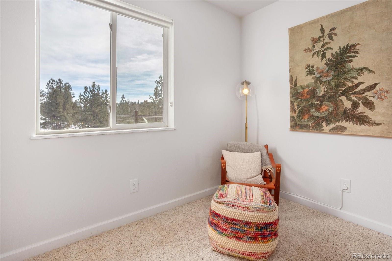 MLS Image #27 for 3367  badger creek road,hartsel, Colorado