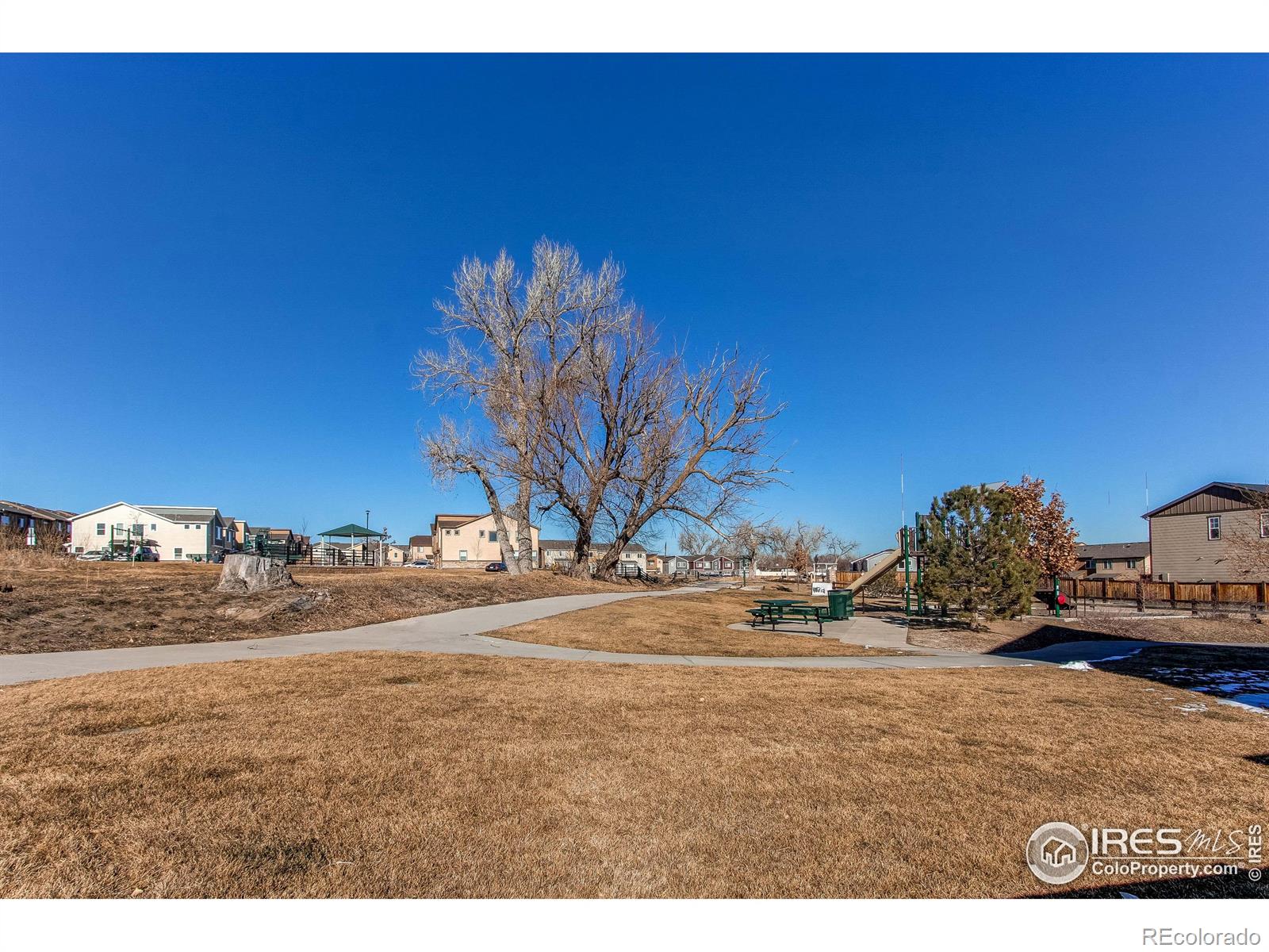 MLS Image #3 for 9685  bellaire lane,thornton, Colorado