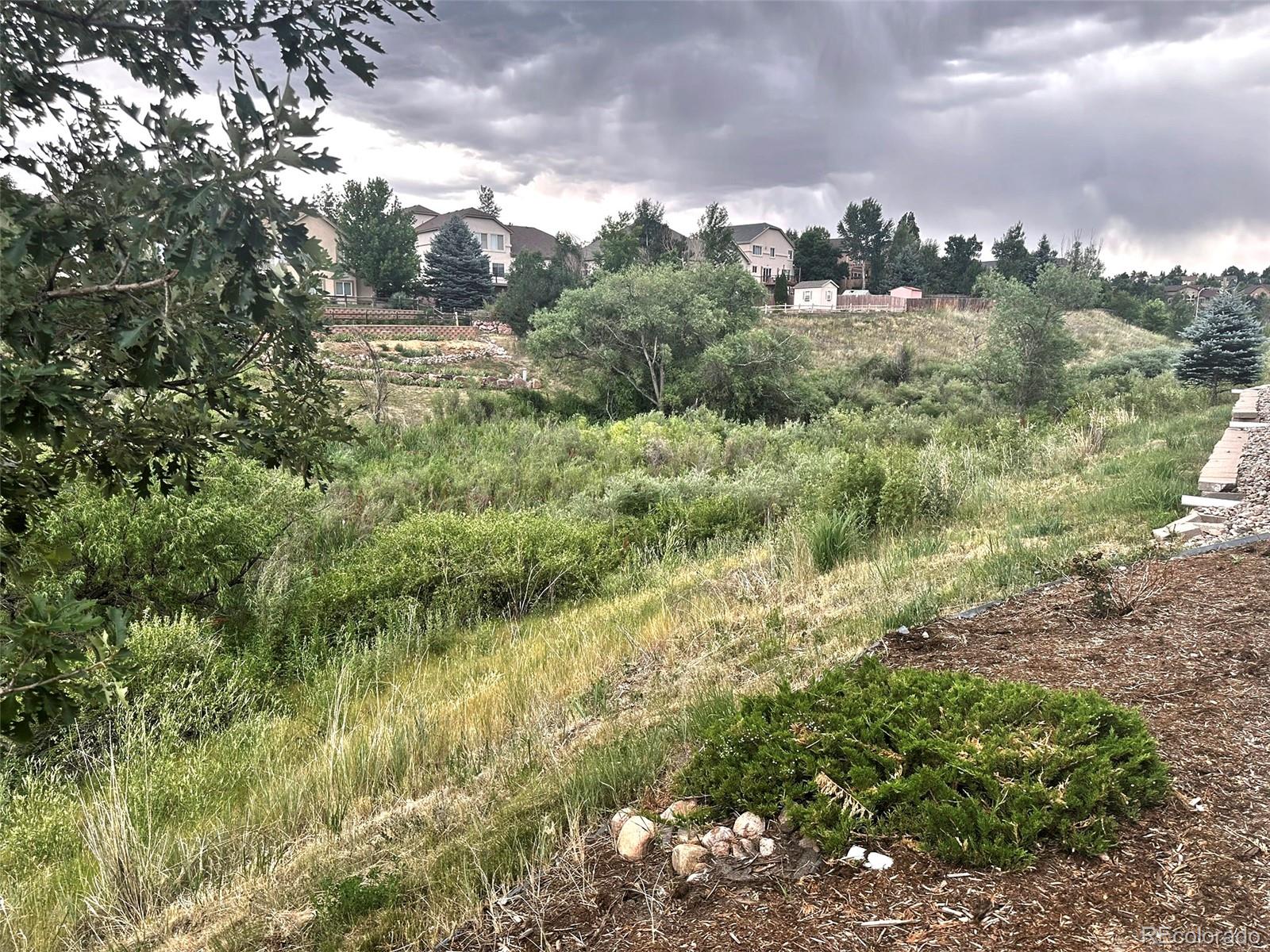 MLS Image #2 for 6463  bluffmont point,colorado springs, Colorado