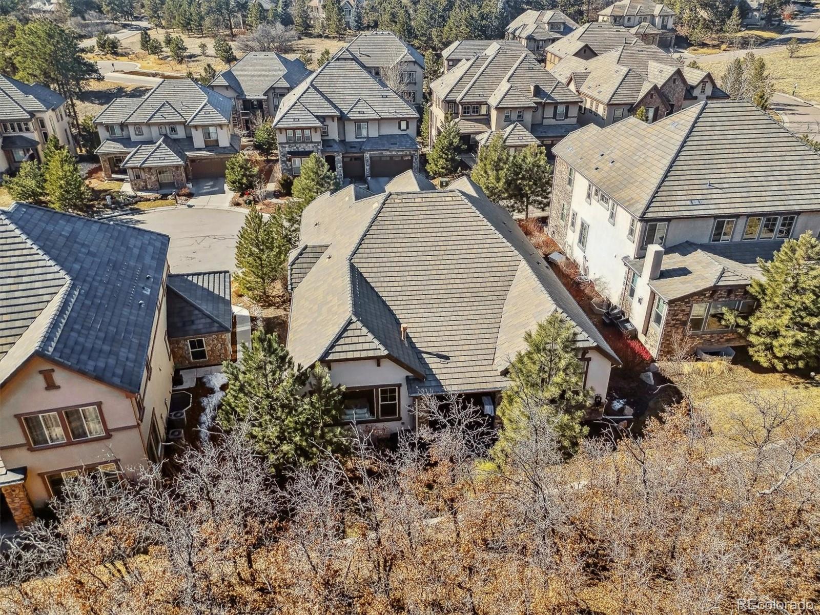 MLS Image #4 for 6875  northstar court,castle rock, Colorado