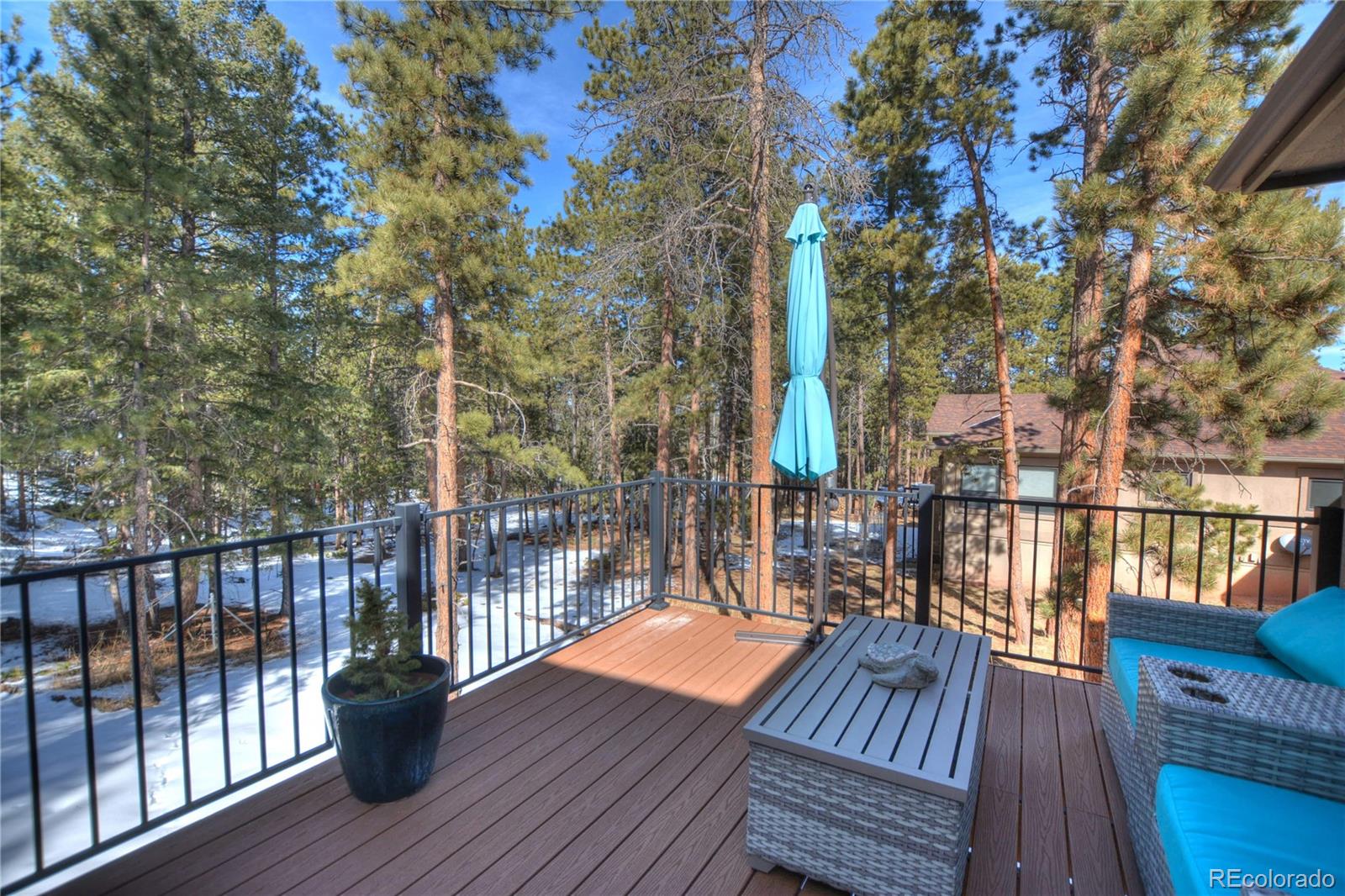 MLS Image #15 for 1210  cottontail trail,woodland park, Colorado