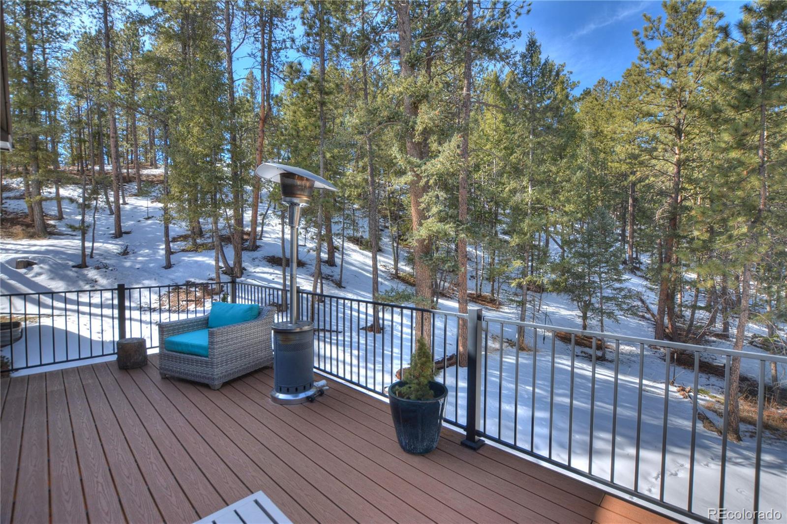 MLS Image #16 for 1210  cottontail trail,woodland park, Colorado