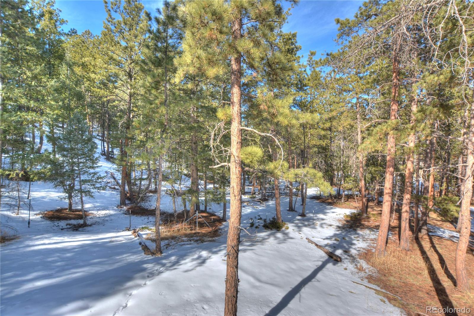 MLS Image #17 for 1210  cottontail trail,woodland park, Colorado