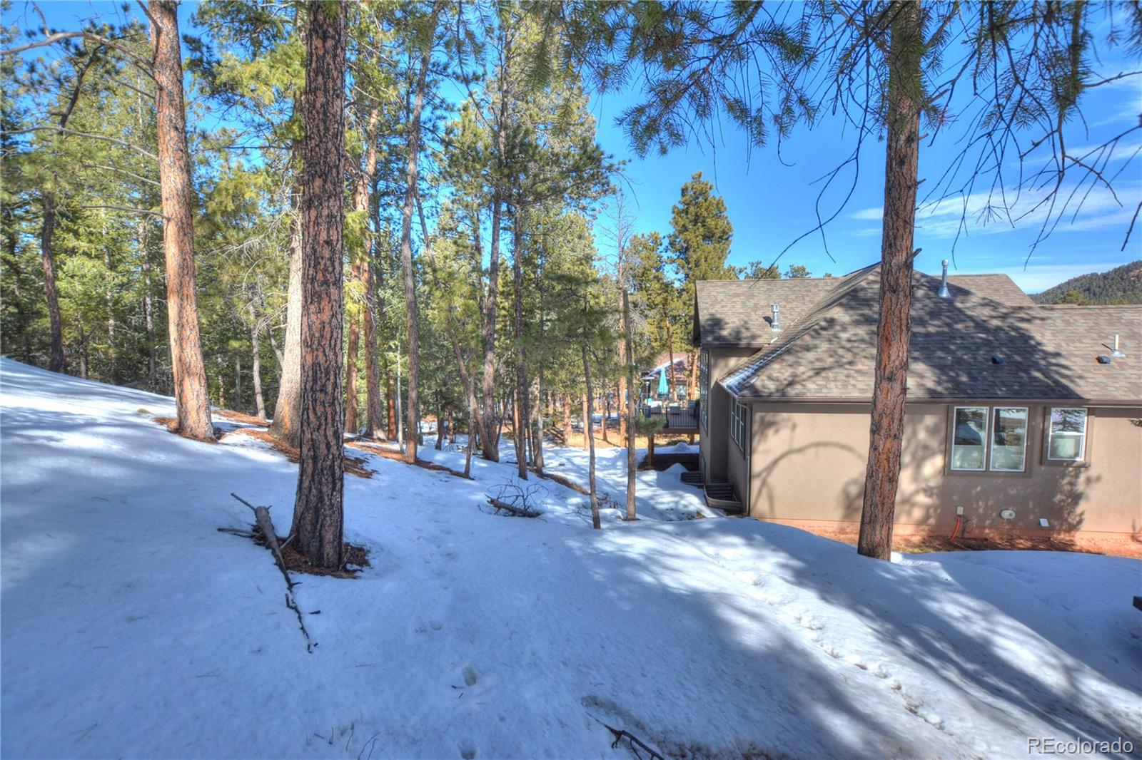 MLS Image #4 for 1210  cottontail trail,woodland park, Colorado