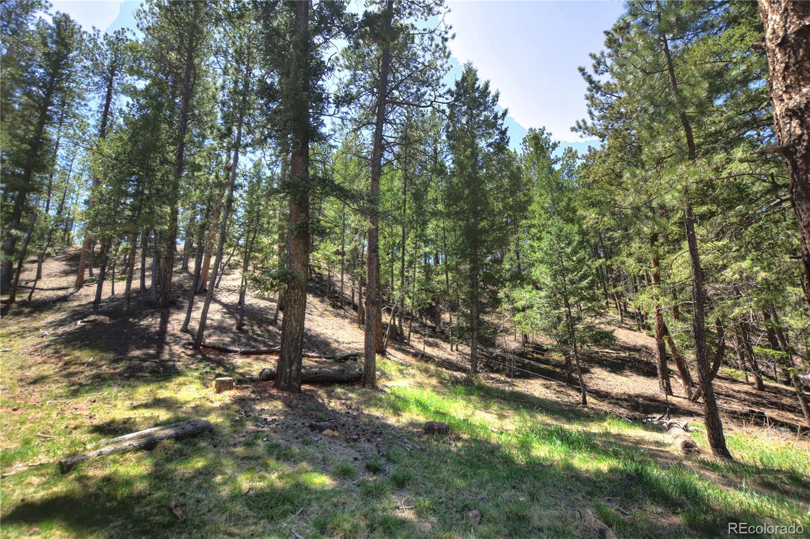 MLS Image #42 for 1210  cottontail trail,woodland park, Colorado