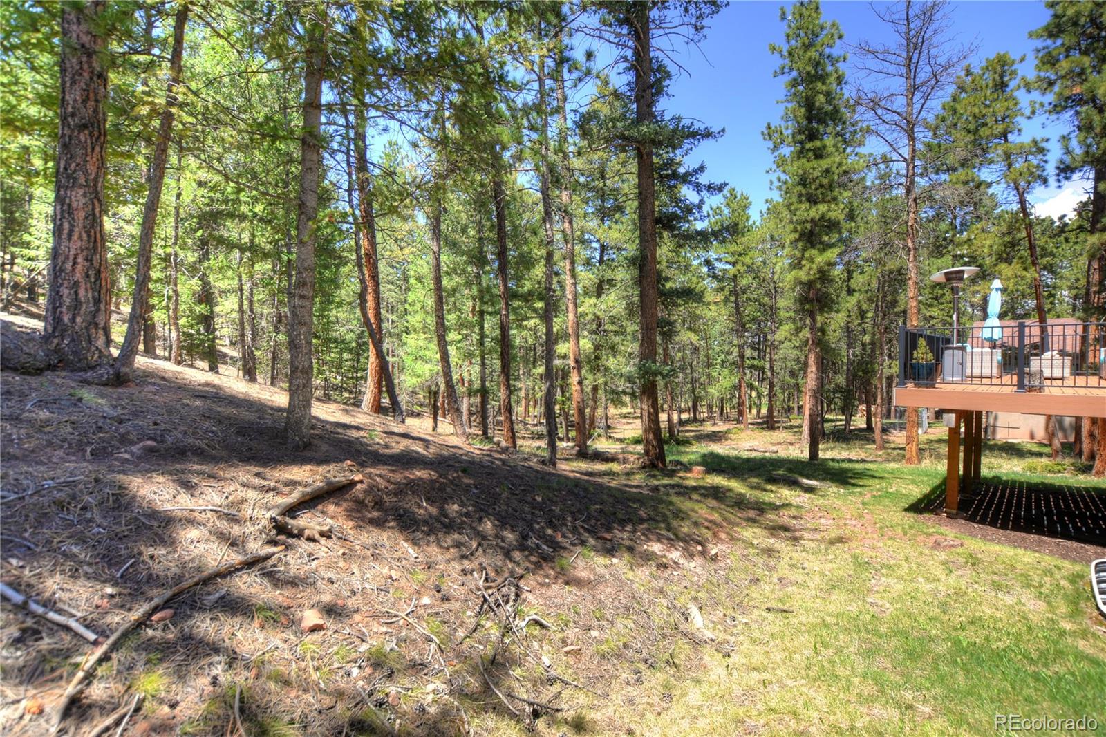 MLS Image #43 for 1210  cottontail trail,woodland park, Colorado