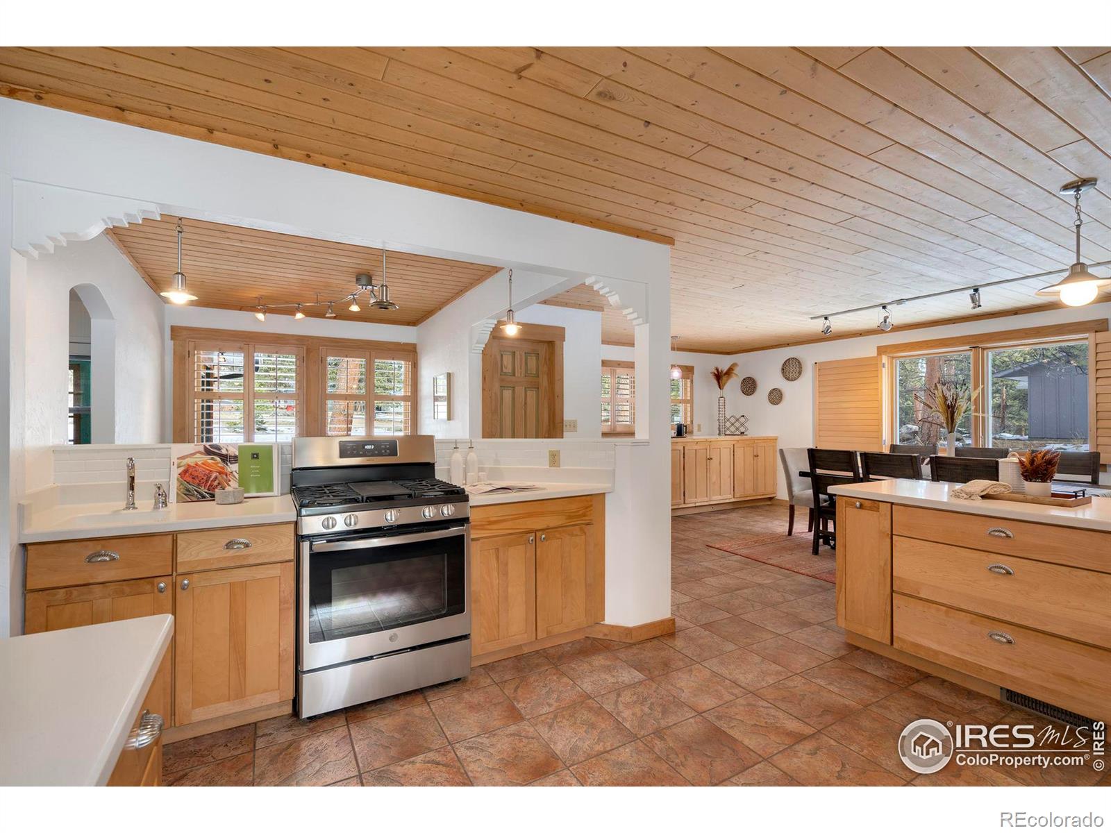 MLS Image #15 for 530  hondius circle,estes park, Colorado