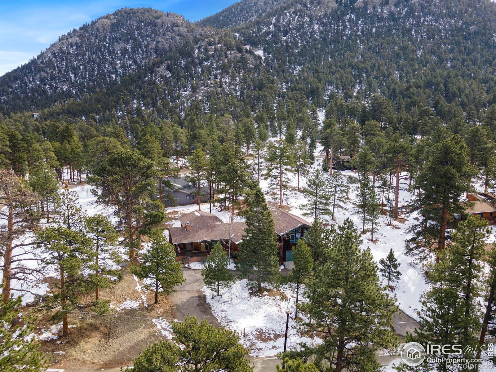 MLS Image #29 for 530  hondius circle,estes park, Colorado