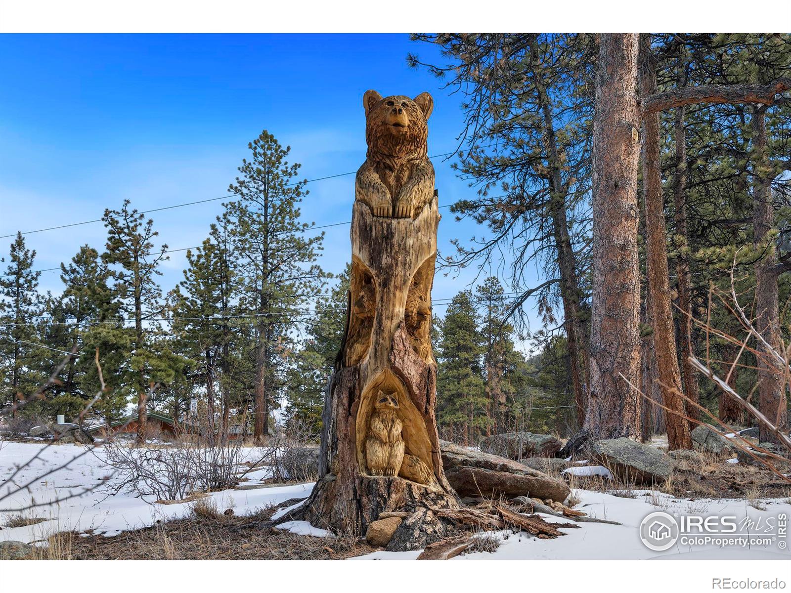 MLS Image #4 for 530  hondius circle,estes park, Colorado